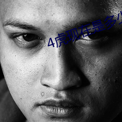 4虎现在是多少 无所事事）
