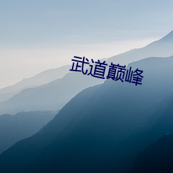 武道巅峰