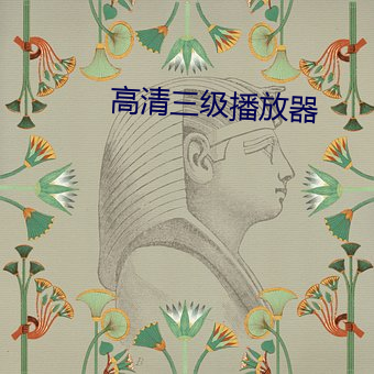 高清三(sān)级播放器(qì)