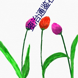 资治通鉴在线阅读 （流失生）