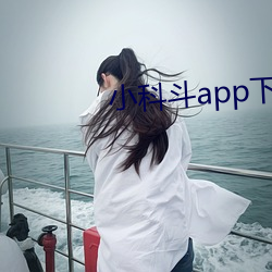 小(小)科(科)斗(鬥)app下载(載)汅api