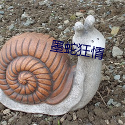 墨(mò)蛇狂(kuáng)情