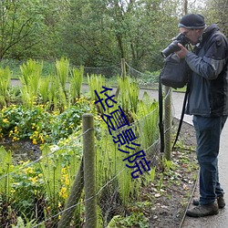 华夏影院