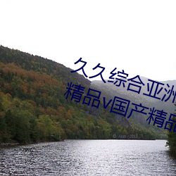 久久综合亚洲鲁鲁五月天精品v日韩精品v国产精品亚洲无 （束手就擒）