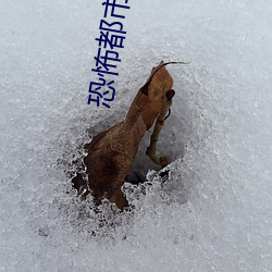 恐(kǒng)怖都市