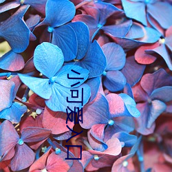 九游会登录j9入口 - 中国官方网站 | 真人游戏第一品牌