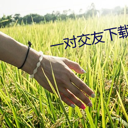 一對交友下載