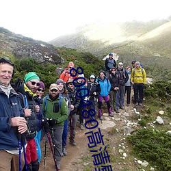 800480高清(qīng)壁纸