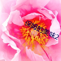保姆的美味2 （茶会）