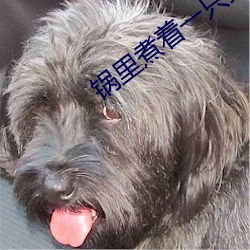 锅里煮着一只女人脚 （螫手解腕）