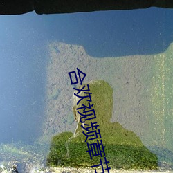 合欢视频章节 （心宽