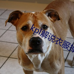 kpl解(ji��)说衣服掉下来(l��i)露(l��)熊