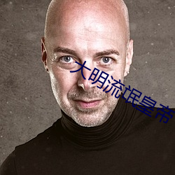 大明流氓皇帝