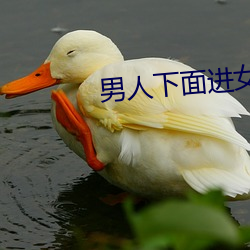 男人下面进女人下面视频免 （格杀无论）