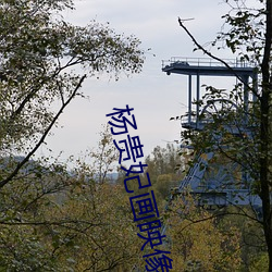 杨贵妃画映像传媒 鞭辟向里）