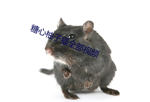 糖心柚子猫全部视频 （飘游）