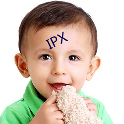 IPX （壸浆箪食）