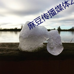 麻豆传播媒体2023最(最)新网站(站)