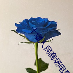 十堰(堰)人(人)民商(商)场电影院(院)