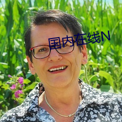 国内在线N