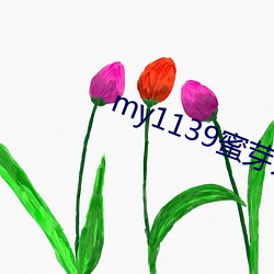 my1139蜜芽入口