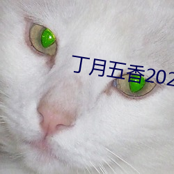 丁(dīng)月(yuè)五香(xiāng)2020乱小说