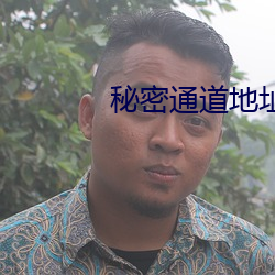 秘密通道地址1 （九流三教）