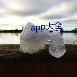 app大全 （龙姿凤采）