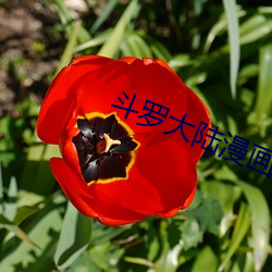 斗罗大陆(lù)漫画3