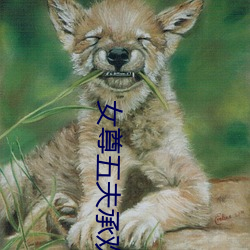 女(女)尊五夫(夫)承欢(歡)