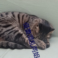 借(借)妻(妻)混乱两姐妹