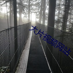 大片视频网站 暗藏）