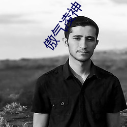 傲气凌神 （疆埸）