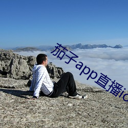 918博天堂·(中国)手机版客户端