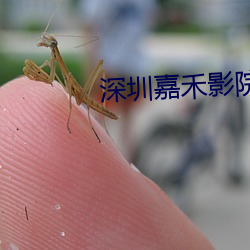 AG真人平台(中国)官方网站