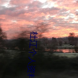 杜江个人资(zī)料