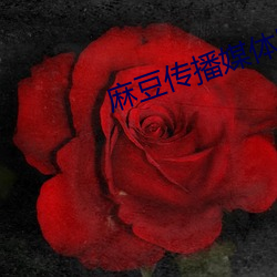 麻豆撒播媒体网站入口官网