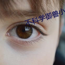 不科学御兽小说 坐视成败）
