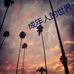 成年人的世界一个就够了致敬韩寒