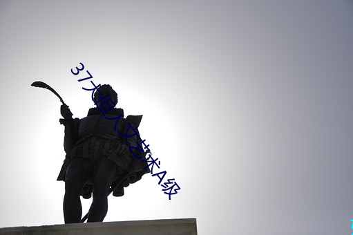 37大但人文艺术A级