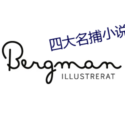 四大名捕小說