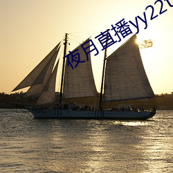夜(夜)月直(直)播yy22tc