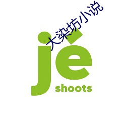 大染坊小说