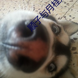 顺子与月桂嫂