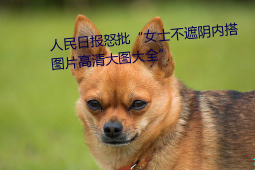 人民日报怒批“女士不遮阴内搭图片高清大图大全” （不声不吭