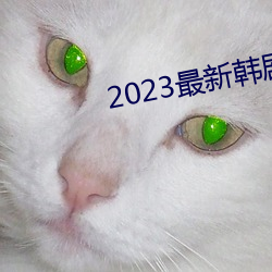 2023最新韩剧大全