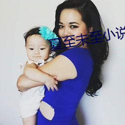 夏至未至小(小)说