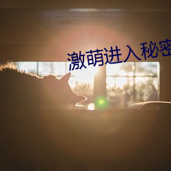 激(jī)萌进入(rù)秘密通道