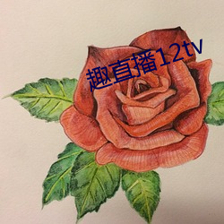 趣直播12tv