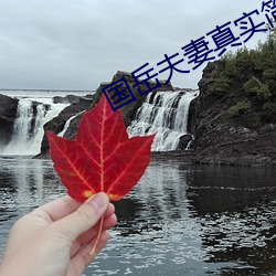 国岳夫妻真实简历